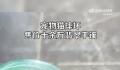 猫咪摔坏12万翡翠手镯被连夜送走 老板：挺无奈的