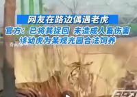 官方回应青岛莱西湖附近偶遇老虎 目前已对虎笼进行加密