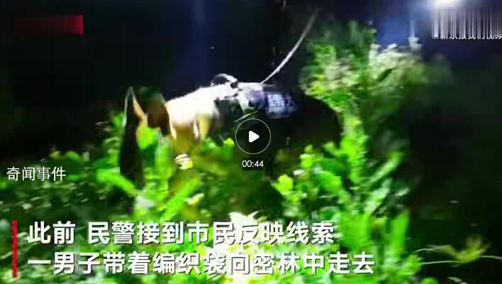 全程实拍警犬找到2.5公斤冰毒 一路引导民警5小时后停在窝棚吠叫