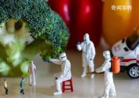 政策调整是否意味回到疫情前状态?社会会发生怎样的变化