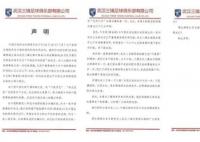 武汉三镇指控的黑暗势力到底是什么
