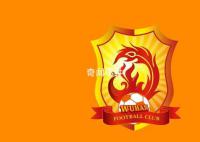 体育博主:武汉长江队即将解散