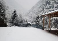 浙江多地下雪 2023年第一股冷空气已经在路上了