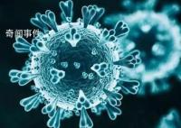 防控措施调整 今年春节如何返乡?