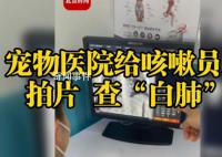 老板回应宠物医院给人拍片查白肺 员工自查不作为诊断依据