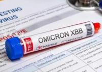 XBB.1.5到底有多厉害?专家解读