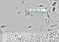 夫妻阳康后着急备孕遭劝阻 网友表示：等一段时间再说