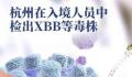 杭州入境人员中发现XBB毒株 XBB和BQ.1会造成二次感染吗?