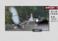央视反腐片:张敬华等出镜忏悔