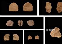 山东发现距今1.32万年人类遗址 出土1000余件早期人类遗物