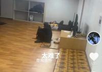 入境韩国被关小黑屋?亲历游客讲述