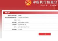 刘鑫被强制执行近72万 目前通过审核已经立案