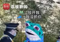 柳州城管回应与青蛙小贩争执 不能因为可爱就对违规行为视而不见