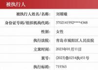 刘鑫已成被执行人 目前通过审核已经立案