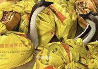 公司发大鹅当年货 员工:放公司很吵