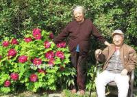 陈佩斯母亲感染新冠去世 享年91岁