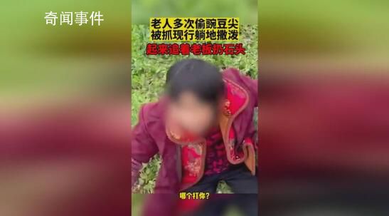 老人多次偷豌豆尖被抓现行躺地撒泼 村书记：会做好村民的思想工作