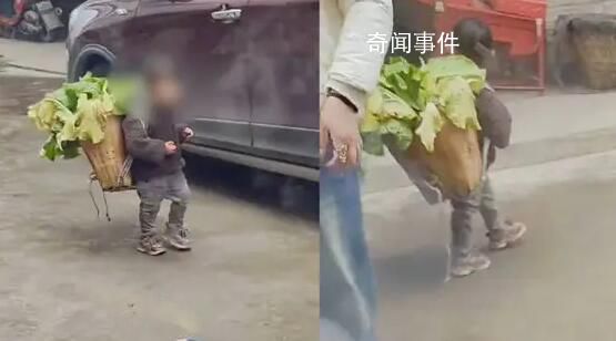 律师称拍女孩背猪草者侵犯肖像权 可要求删除视频并道歉