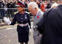 男子向英国国王丢鸡蛋被罚款 被判罚款100英镑和承担其他费用