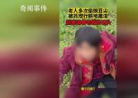老人多次偷豌豆尖被抓现行躺地撒泼 村书记：会做好村民的思想工作