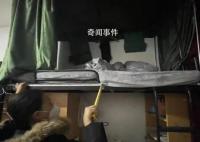 省教育厅回应女生宿舍上铺坠亡 已通知该校整改