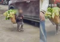 律师称拍女孩背猪草者侵犯肖像权 可要求删除视频并道歉