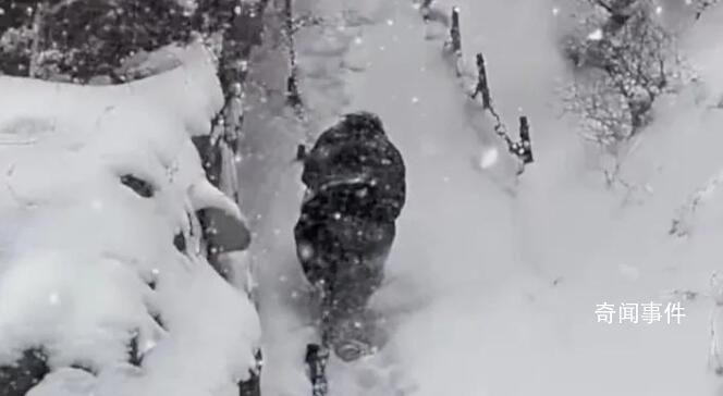 男子40厘米积雪中边铲雪边爬华山 期间自己摔了很多跤