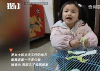 夫妻瞒女儿回家过年 被孩子紧紧抱住