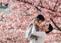 日本50岁女性中27%无子女 日本女性的终生未育比例排名第一