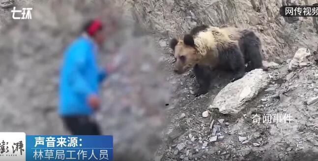 林草局回应村民投喂野生棕熊 视频并非近期拍摄不鼓励投喂
