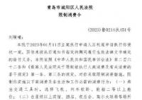 青岛法院已对刘鑫发布限消令 已成被执行人