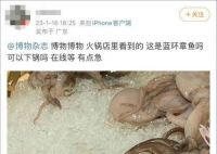 网友称吃火锅遇剧毒蓝环章鱼 好在该网友表示并没有吃