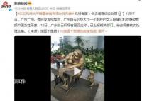 机场回应大厅雕塑被指有损女性形象 会去调查核实处理