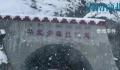 西藏雪崩多车被埋 有人失温缺氧遇难