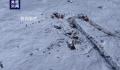 西藏林芝雪崩遇难人数增至13人 9名遇难者信息已确认