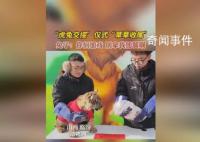 动物园办虎兔交接 兔子险成年夜饭