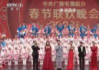 央视春晚主持唯一新面孔亮相 王嘉宁个人资料介绍