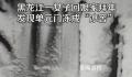 女子回娘家一楼单元门冻成冰窖 气温最低零下53℃