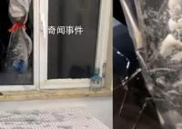 男子家深夜被飞鱼破窗而入砸碎玻璃 网友：岁岁平安年年有余