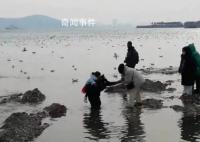 救援队长趴海水中让8游客踩背通过 实在是令人暖心