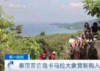 泰国普吉岛为迎接中国游客采购大象 新购入了6头大象