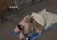 女生过年拒相亲被赶出门和狗睡 引发热议来看看怎么回事吧