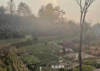 山中抱团养老十年:曾是同事兼猎友