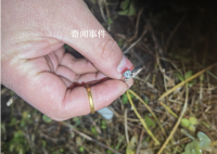 万元戒指被亲戚家孩子扔进农田 民警花了4小时凌晨2点终于找到