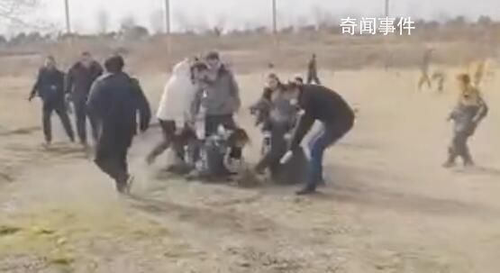 景区设免费抓鸡活动 抓到可带走