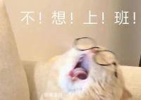 开始7天渡劫 大年初七开工大吉