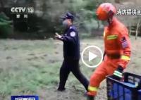 狐狸溜进公安局被放生时回头张望 赤狐身体没有外伤体态正常