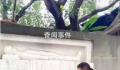 汪精卫跪像失踪4部门不知情 是谁把汪精卫夫妇的跪像搬走了