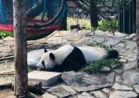今天怎么才是周一 大家有节后综合症吗？