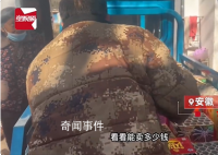 夫妻过年捡烟花纸壳7天捡5000斤 院子里已经密密麻麻整齐的被堆满